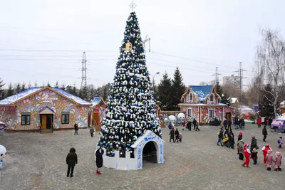 Усадьба деда мороза в кузьминках - фото, размер: большой, формат: JPG