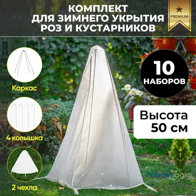 Утепление роз на зиму: фото розы с возможностью скачать в формате jpg и выбором размера