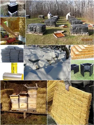 Зимние фотографии: Утепленные пчелиные домики