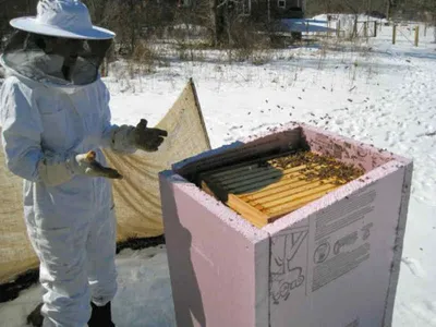 Утепление пчелиных домиков: Стильные фотографии зимы