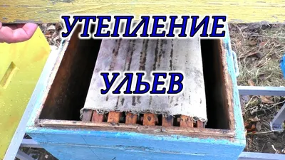 Изображение утепления ульев: Зимние моменты с пчелами