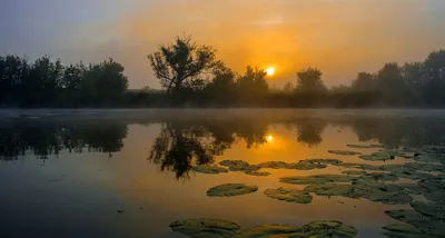 Фото утреннего пейзажа для фонов