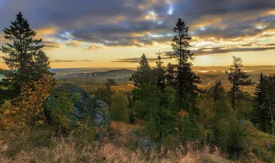 Прекрасное утро: Фотографии пейзажей