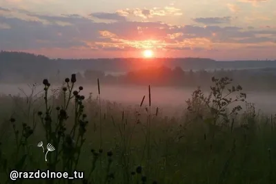 Утренний взгляд: уникальные фотографии утра