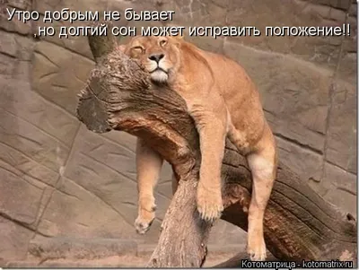 Скачайте утренние картинки в формате JPG, PNG, WebP.