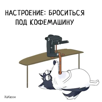 Новые утренние фото: скачать в формате JPG, PNG, WebP.