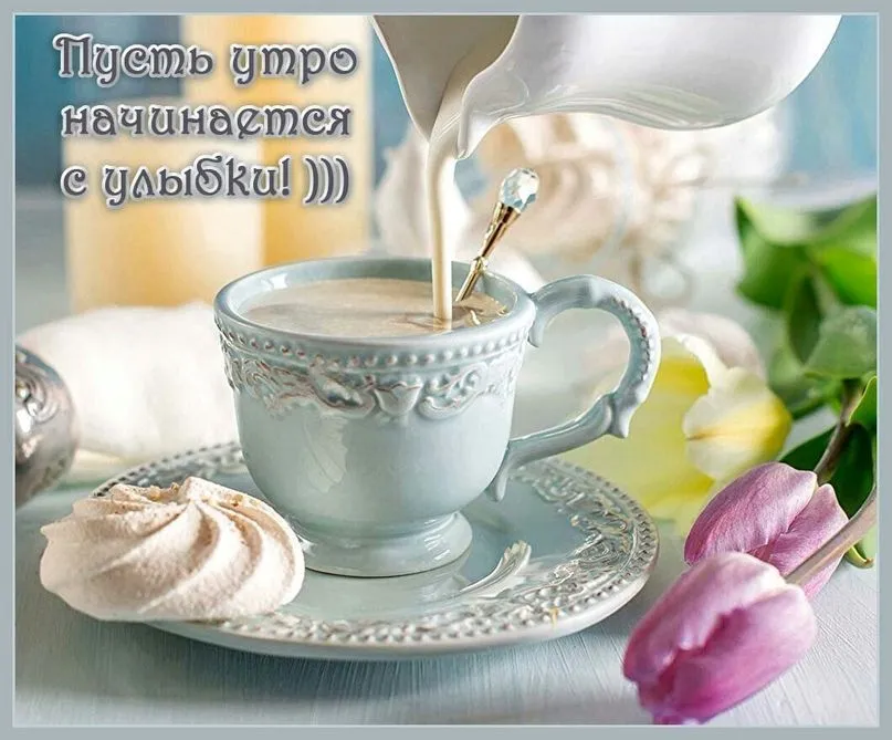 Доброе утро: картинки: кофе, чашка, цветы (утро начинается) | Картинки, Цитаты о кофе, Доброе утро