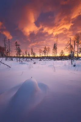 Уникальные оттенки рассветного неба (фото)