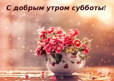 Утро субботы: изображения в формате JPG, PNG, WebP