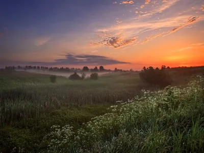 Утренний мир: фотографии, показывающие красоту утра в деревне