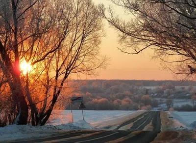 Утренний свет: фотографии, олицетворяющие свет утра в деревне