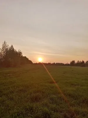 Фотографии утренней атмосферы в деревне