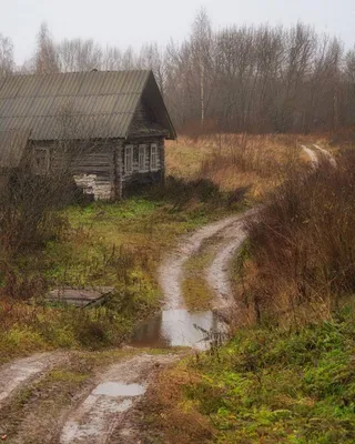 Фото утреннего пейзажа: краски деревни