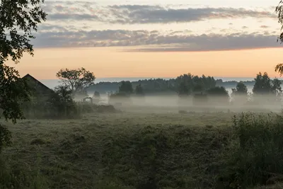 Утро в деревне: фотографии природы