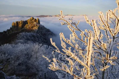 Чудесные фото альпийских пейзажей в хорошем качестве