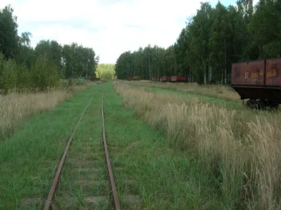 Фото узкоколейных железных дорог с возможностью выбора размера