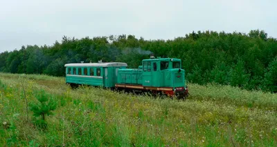 Фото в высоком разрешении 2024 года