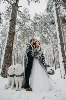 Зимние свадебные детали на фото: JPG, PNG, WebP для вашего выбора
