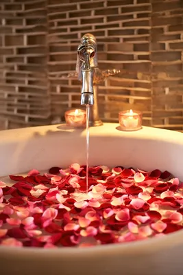 Магическая атмосфера в ванной с розовыми лепестками: выберите размер и формат для загрузки