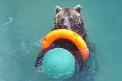 Валерий Скорокосов на фото: выберите размер и формат загрузки фотографии