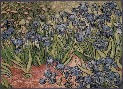 Фотографии ирисов Ван Гога: великолепие в цвете