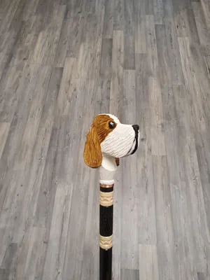 Вандейский бассет-гриффон: милые фото собаки в домашней обстановке