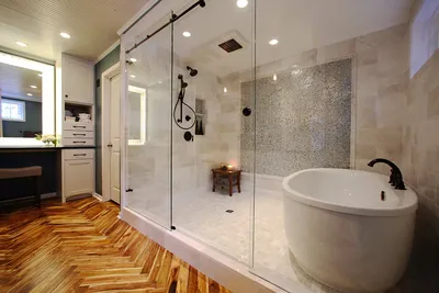 JPG фото ванна и душ в одной комнате