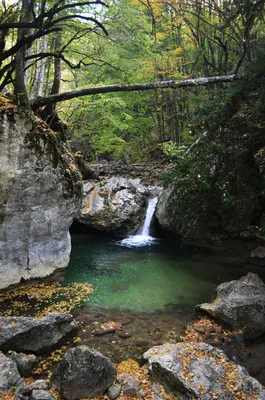 Фото: Великолепная Ванна молодости в Крыму