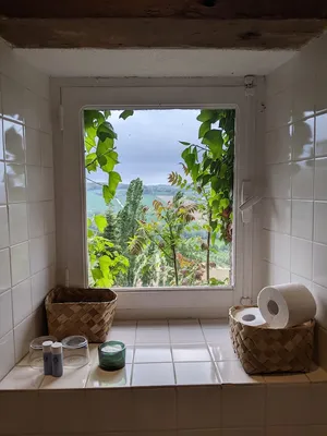 Ванная комната с панорамным окном: фотографии внутри!