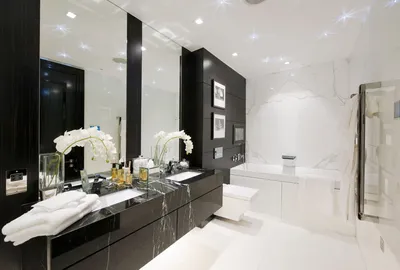 Изображение ванной комнаты с монохромным оттенком