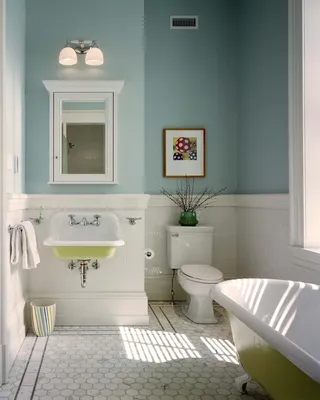 Фото ванной комнаты с крашенными стенами в формате webp