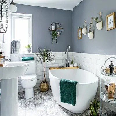Фотографии Ванной комнаты с крашеными стенами в Full HD. Скачать JPG, PNG, WebP.