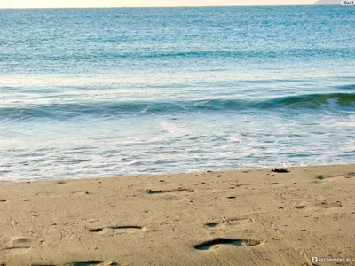 Откройте для себя прекрасные пляжи Варны через фотографии