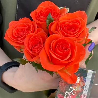 Фотография розы с различными размерами для выбора