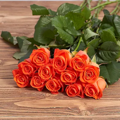 Уникальное изображение розы в webp формате