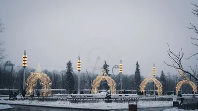 Зимнее вдохновение на ВДНХ: картинки в разных размерах