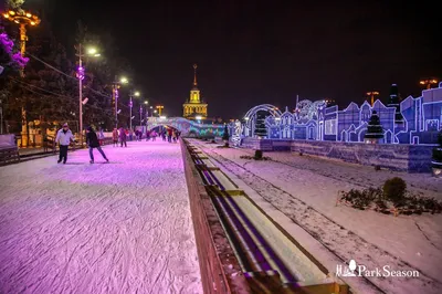 Великолепие зимней природы: изображения в различных форматах