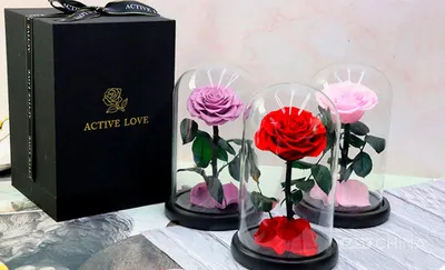 Фото вечных роз в webp формате для ценителей искусства