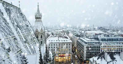 Зимние Моменты в Вене: Фотографии в различных форматах для скачивания