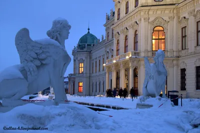 Зимний Городской Пейзаж: Фотографии Вены в разнообразных форматах