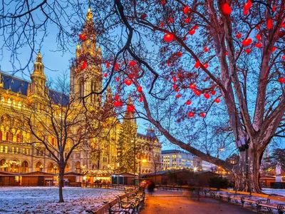 Фотографии Зимней Вены: Откройте для себя Красоту в каждой детали