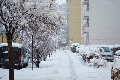 Вена в Зимних Очарованиях: Изысканные изображения для скачивания