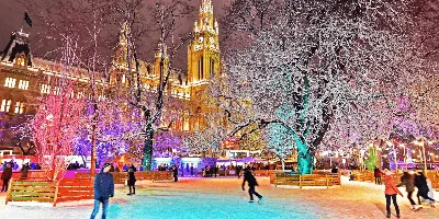 Эстетика Зимы: Лучшие снимки Вены в форматах JPG, PNG, WebP