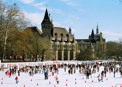 Фотографии Зимней Венгрии: Изысканные Моменты