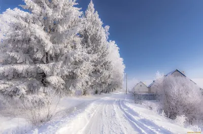 Венгерская Зима в Высоком Разрешении: Фотоколлекция