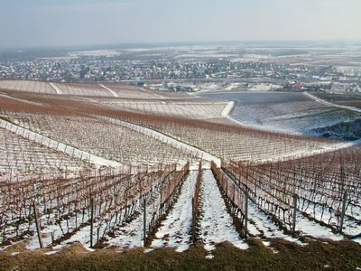 Зимние Завораживающие Пейзажи в Венгрии: Фотографии