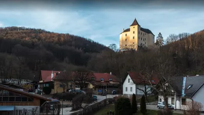 Прекрасные лесные пейзажи Венского леса