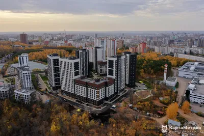 Откройте для себя волшебное мироздание Венского леса на захватывающих снимках