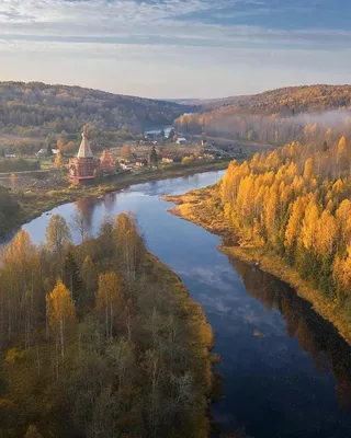 Фото Вепсского леса: красота природы в объективе