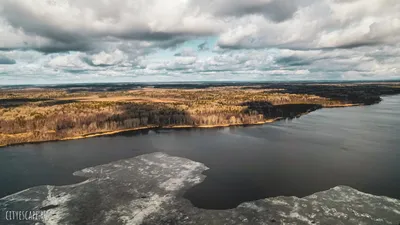 Фотк Вепсского леса: погружение в природу